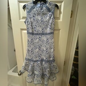 Blue and White Lace Dress